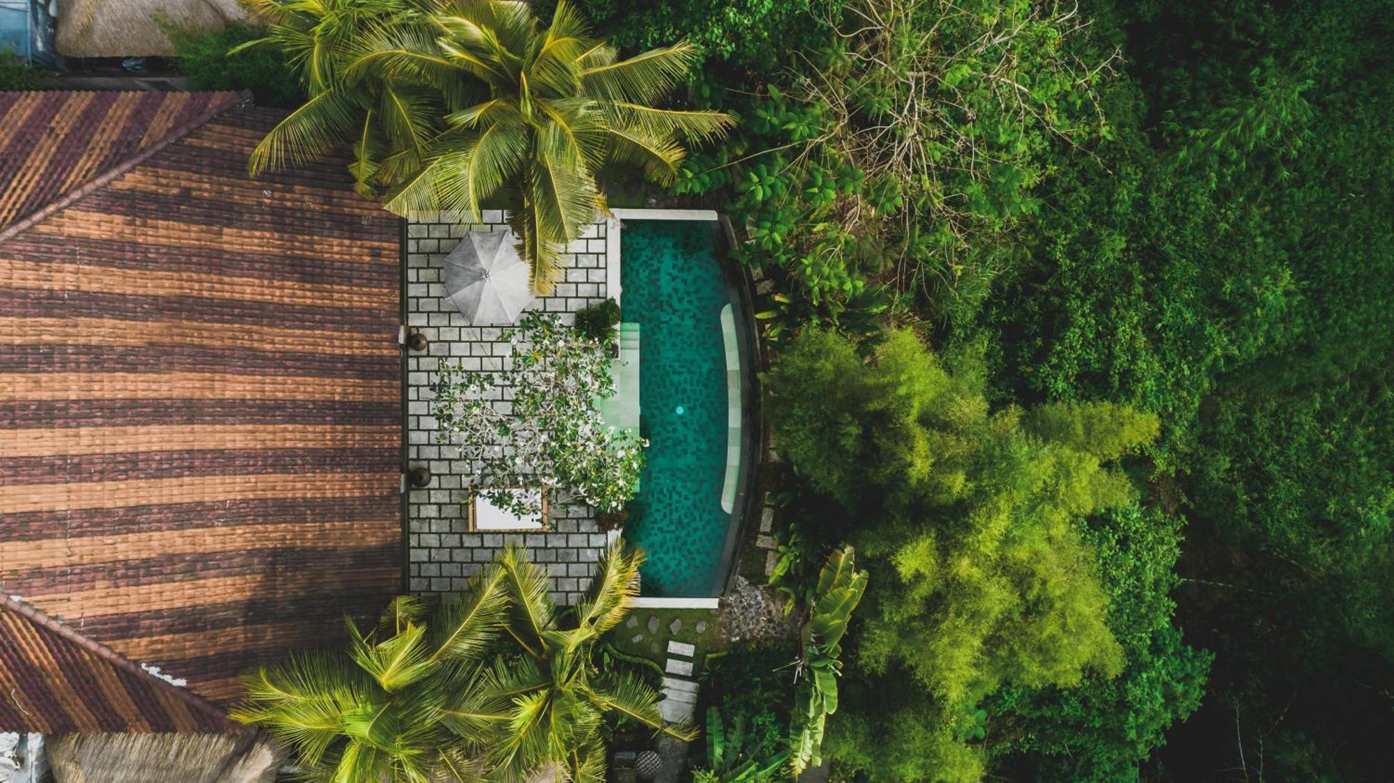 Luwak Estate