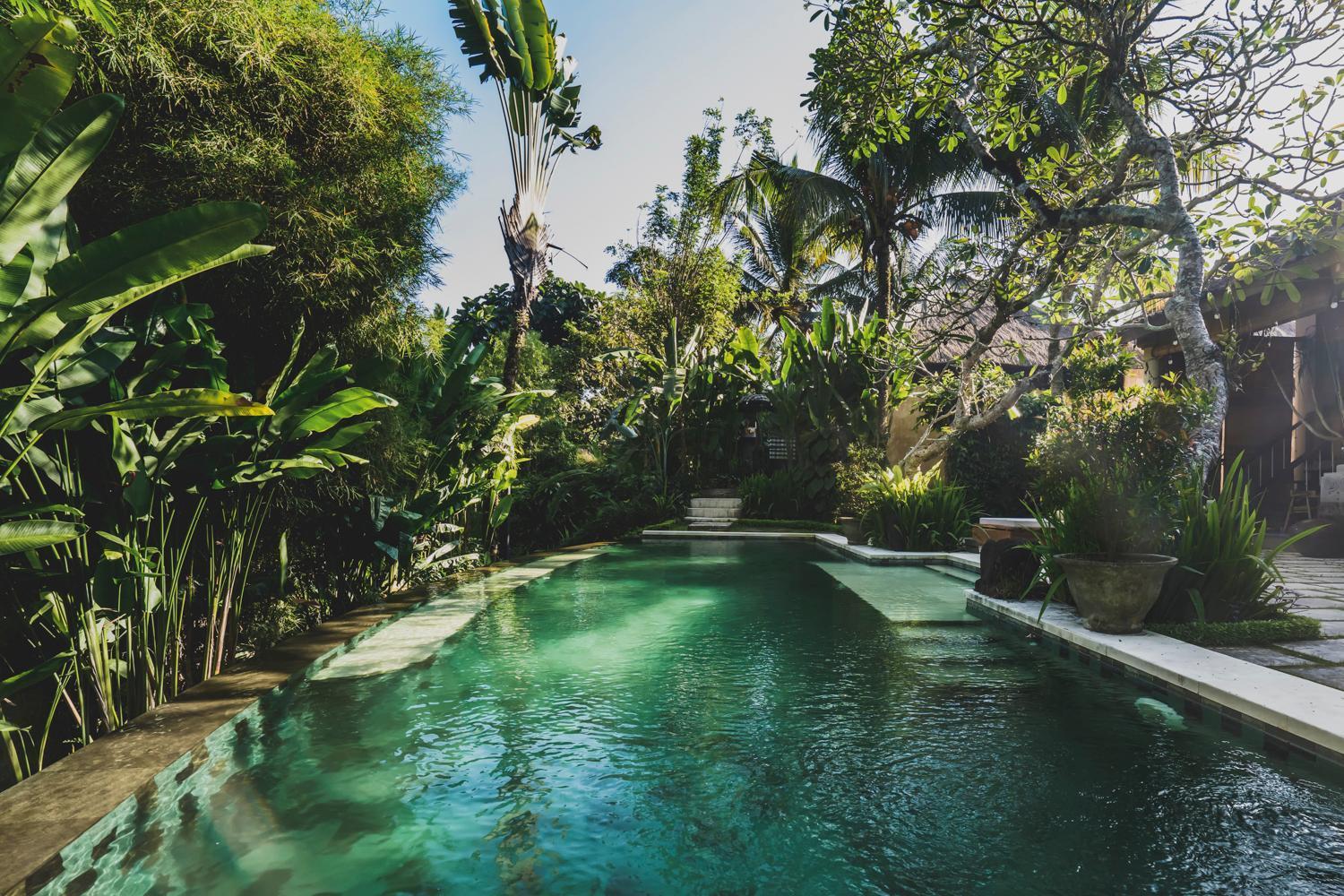 Luwak Estate Ubud (Bali)
